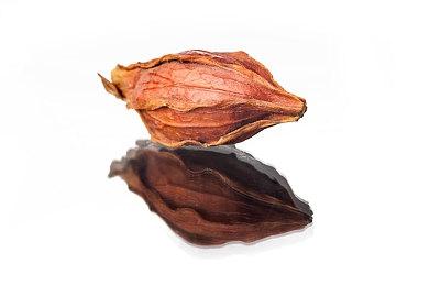 《猎天使魔女》贝姐前声优再发声 承认白金初次报价4000美元不实